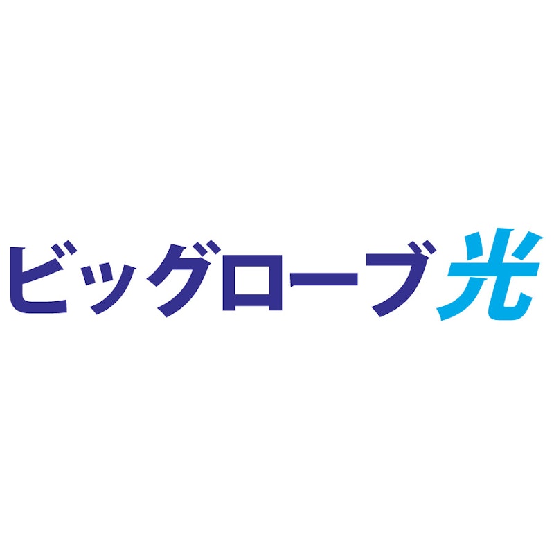 ビックローブ光