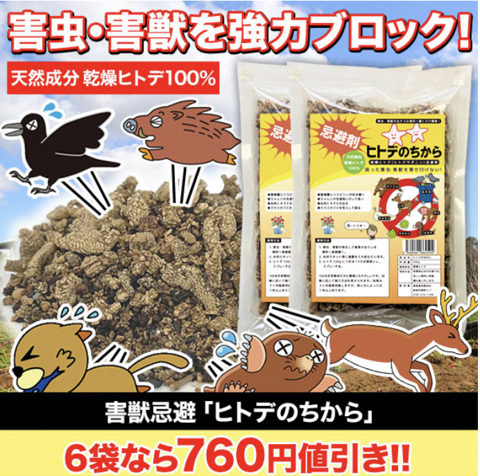 ヒトデのちから