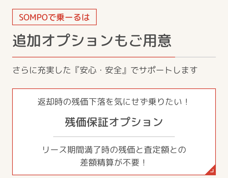 追加オプション