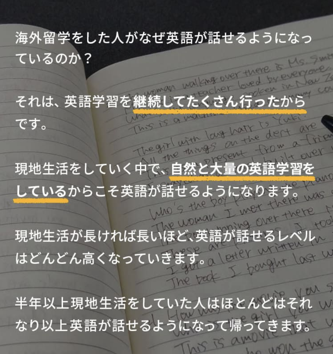 理由